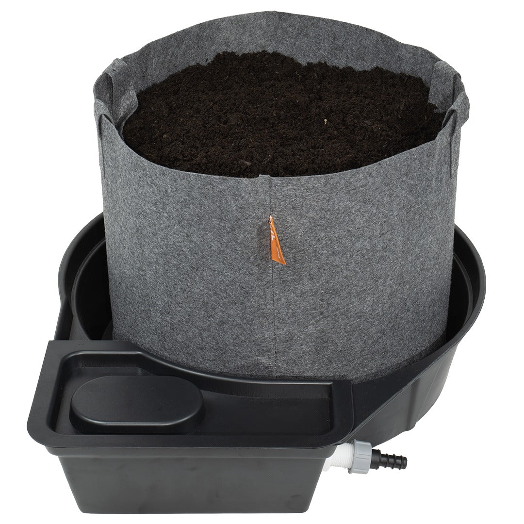 MegaPot Single Module — 39L