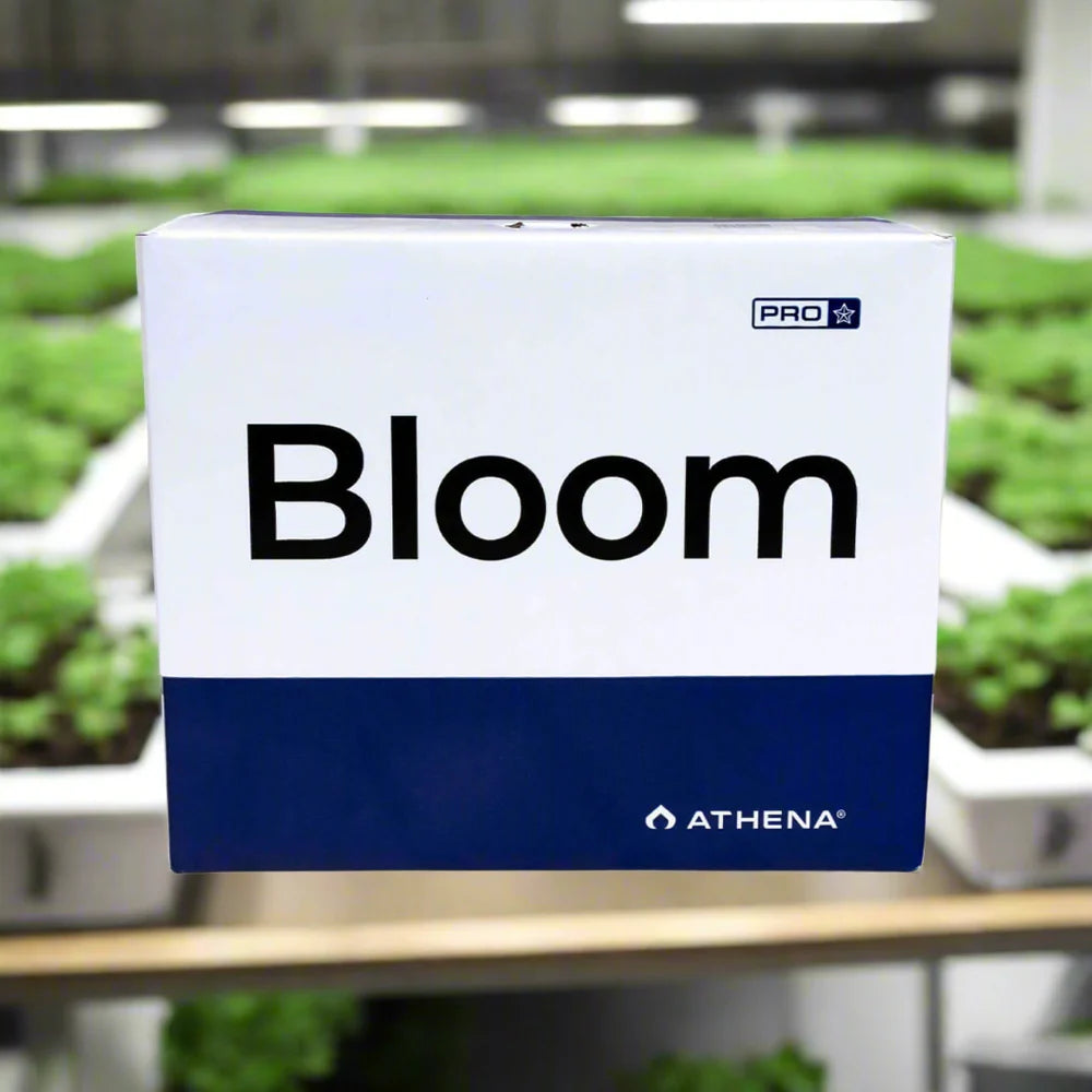 Athena Pro Line Bloom