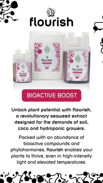 Ecothrive Flourish Seaweed Biostimulant