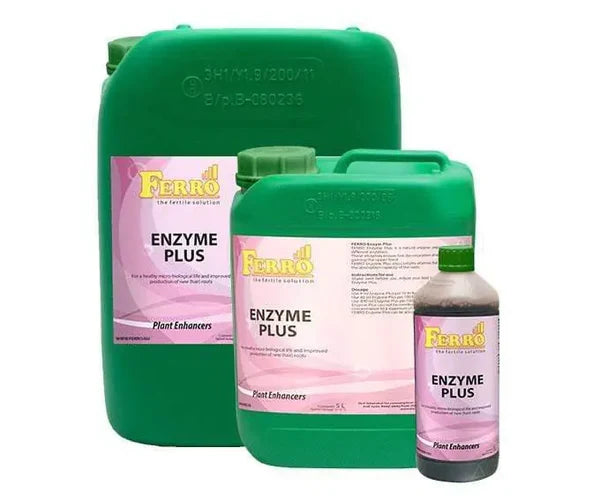 Ferro - Enzyme Plus