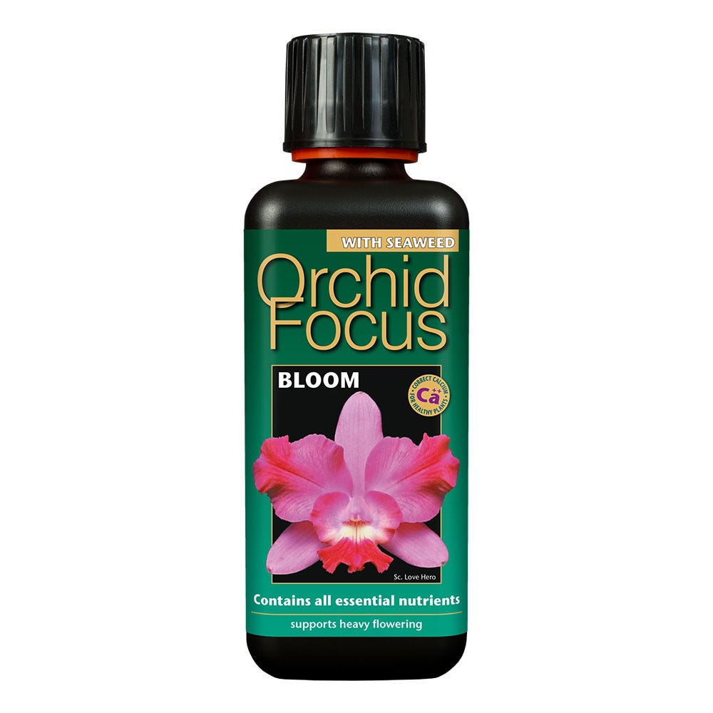 Growth Technology Orchid Focus Bloom Flowering Plant Nutrient