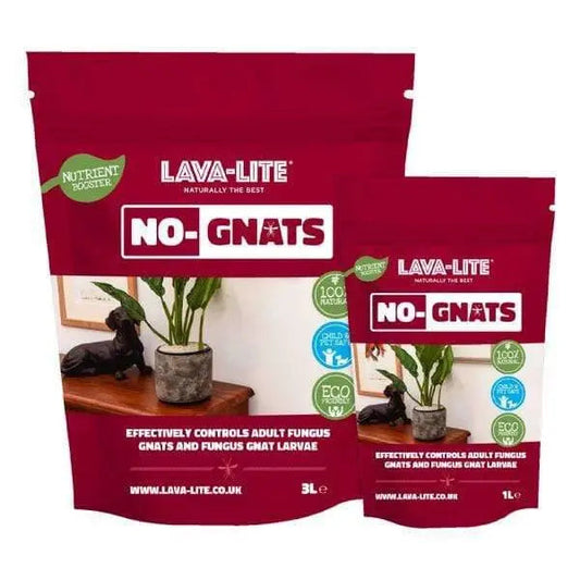 Lava-Lite No Gnats Natural Fungus Gnat Barrier Top Dressing