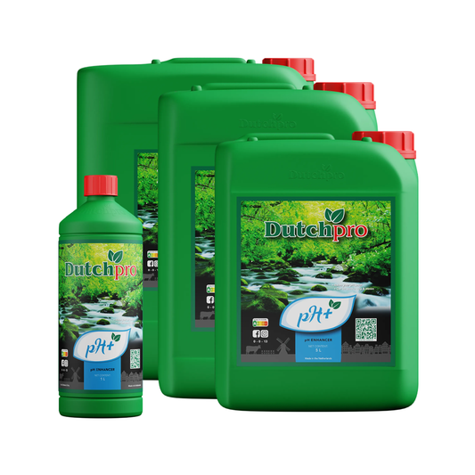 Dutch Pro pH Up Solution for Hydroponic Nutrients