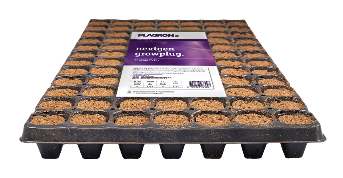 Plagron NextGen Growplug — Box of 10 Trays (840 Plugs)