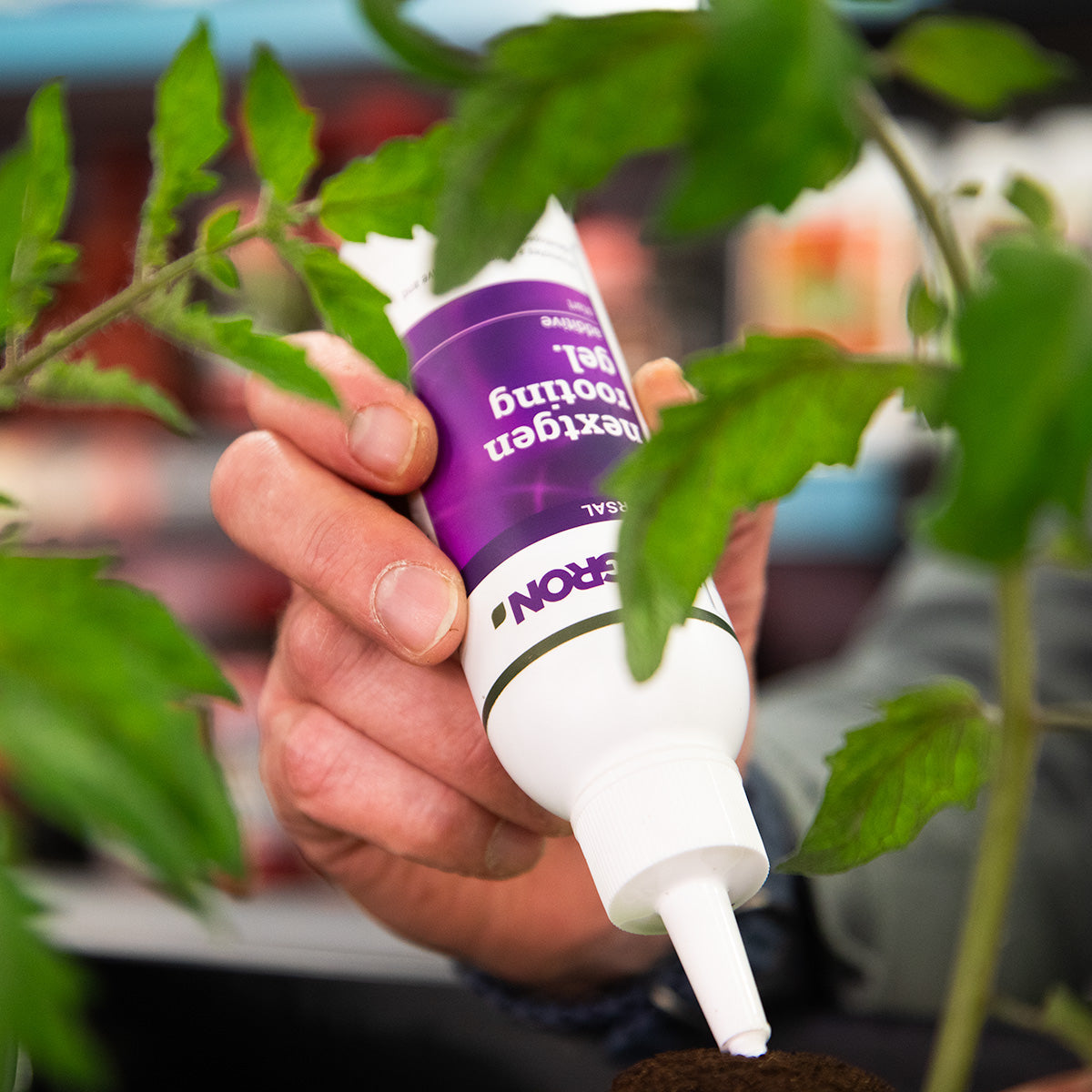 Plagron NextGen Rooting Gel for Hormone-Free Cuttings