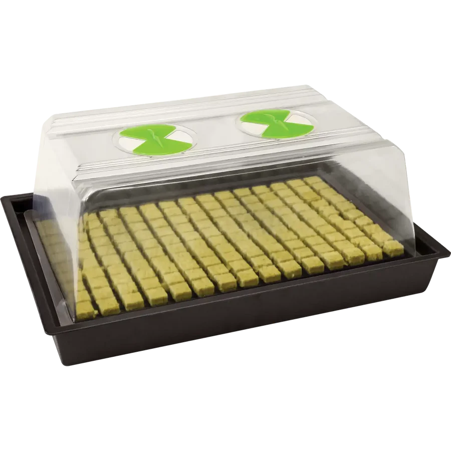 X-Stream Heated Propagator – Adjustable Thermostat Propagation System
