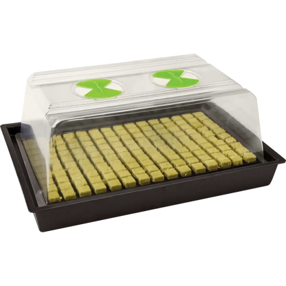 X-Stream Heated Propagator – Adjustable Thermostat Propagation System