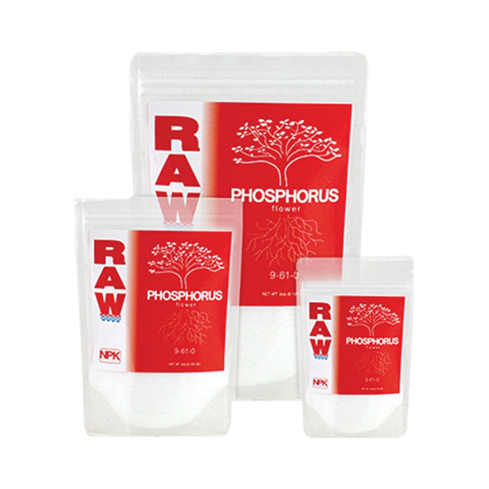 RAW Phosphorus — angle 2