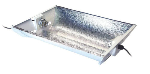 315w TWIN Daylight Maxibright Reflector