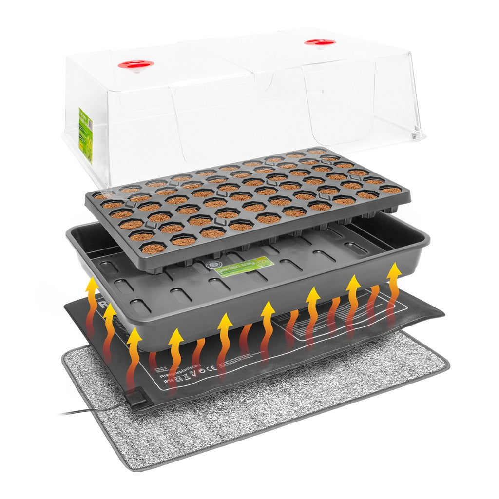 Root!T 60 Cell Heated Propagator Kit assembled: dome lid, 60-cell plug tray, propagator base, heat mat and insulated mat