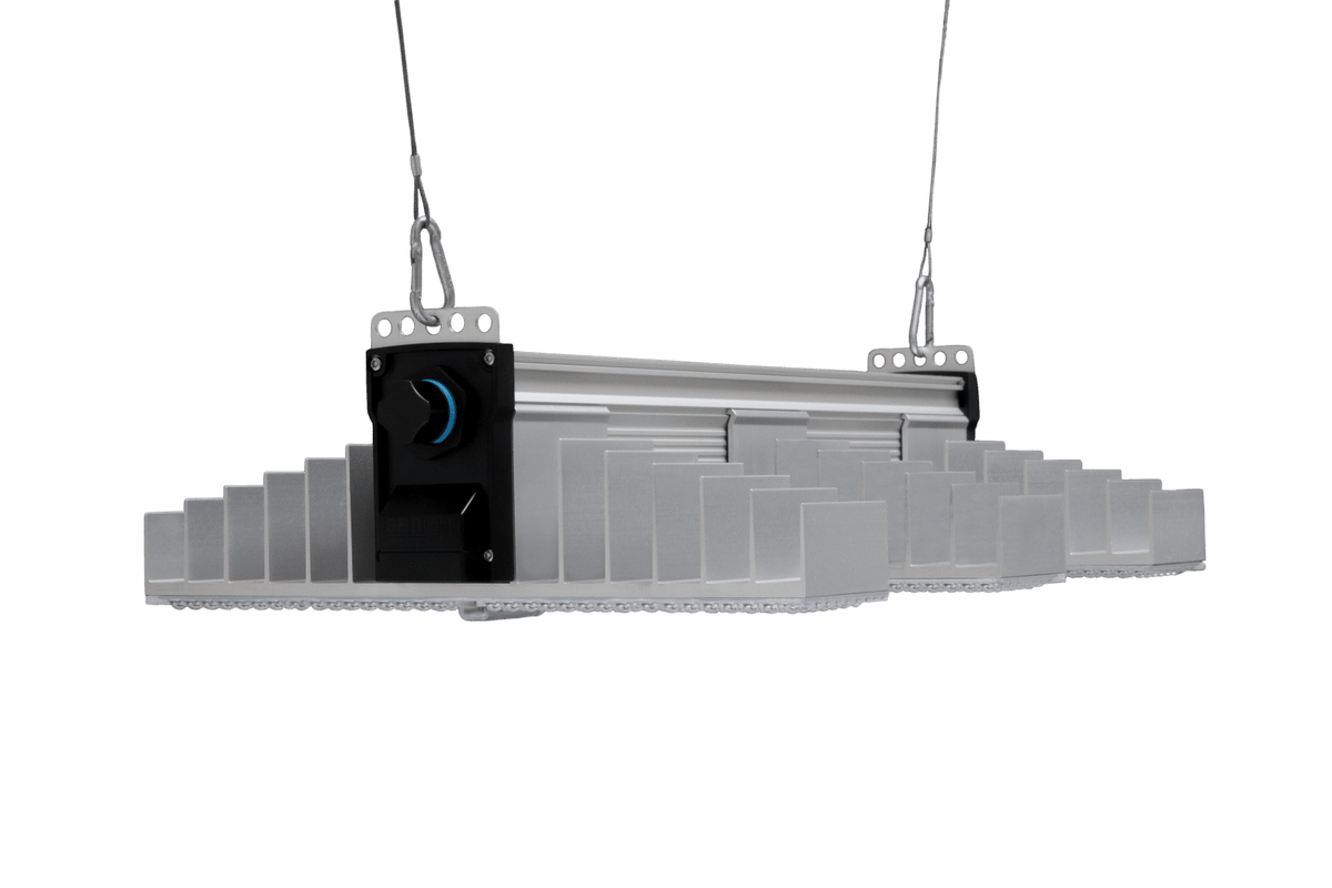 Sanlight EVO 3 LED grow light fixture on its hanging cables