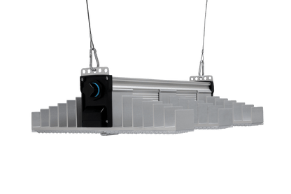 Sanlight EVO 3 LED grow light fixture on its hanging cables
