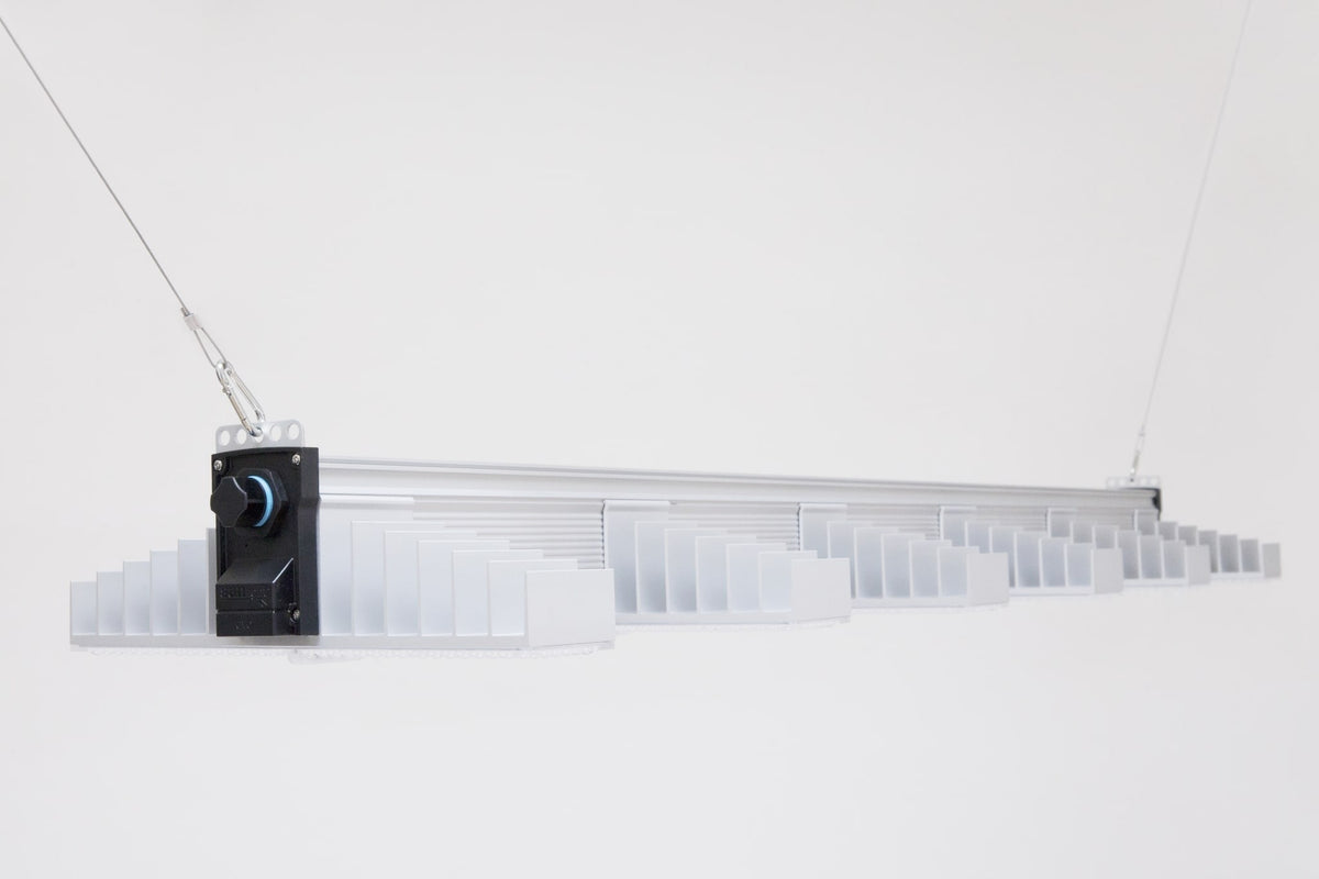 Sanlight EVO 6 LED Grow Light – EVO 6-150 hanging on its cables