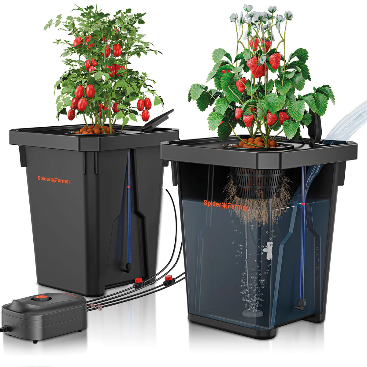 Spider Farmer DWC Hydroponics Grow System cutaway showing roots in the oxygenated solution