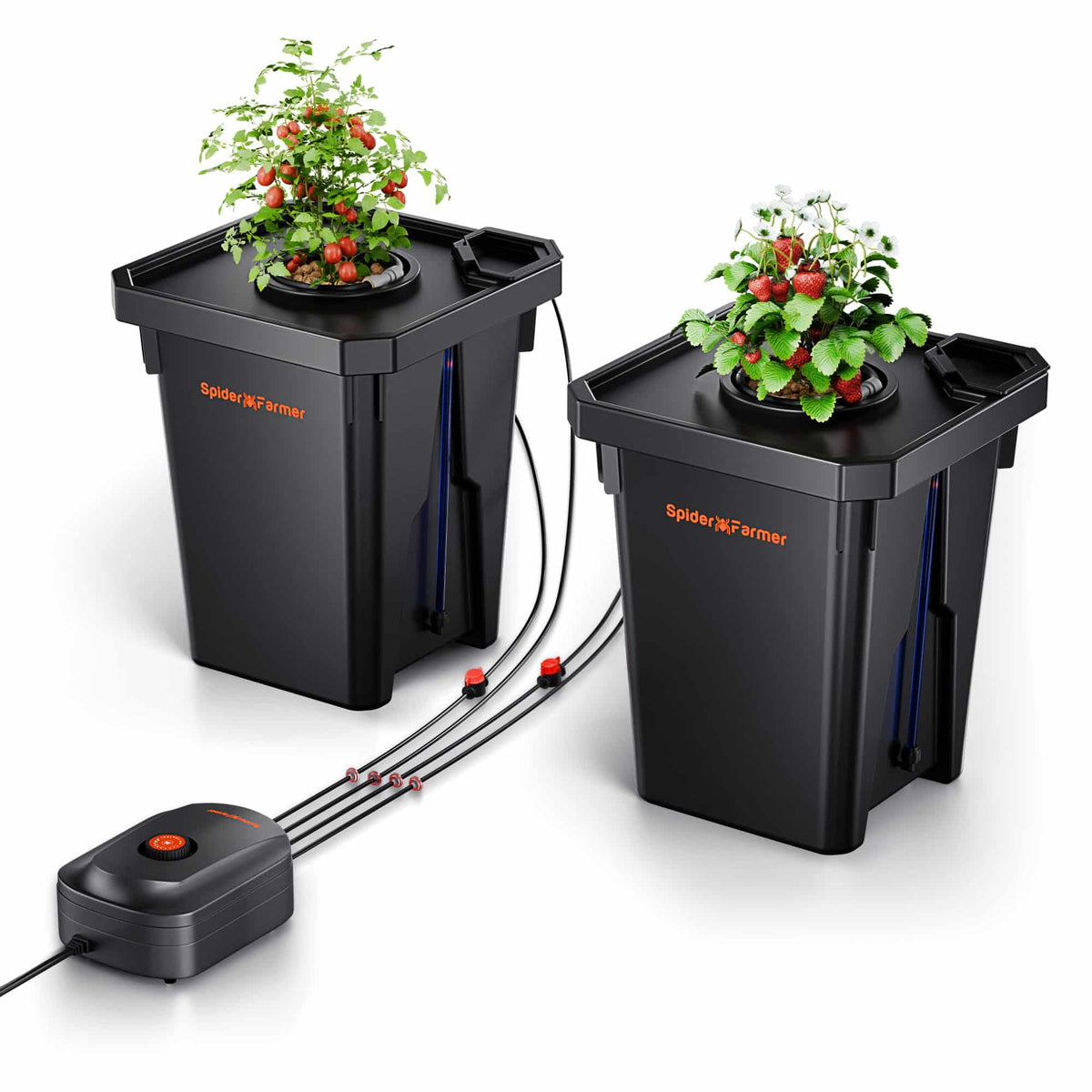 Spider Farmer DWC Hydroponics Grow System — two buckets with tomato and strawberry plants and the air pump