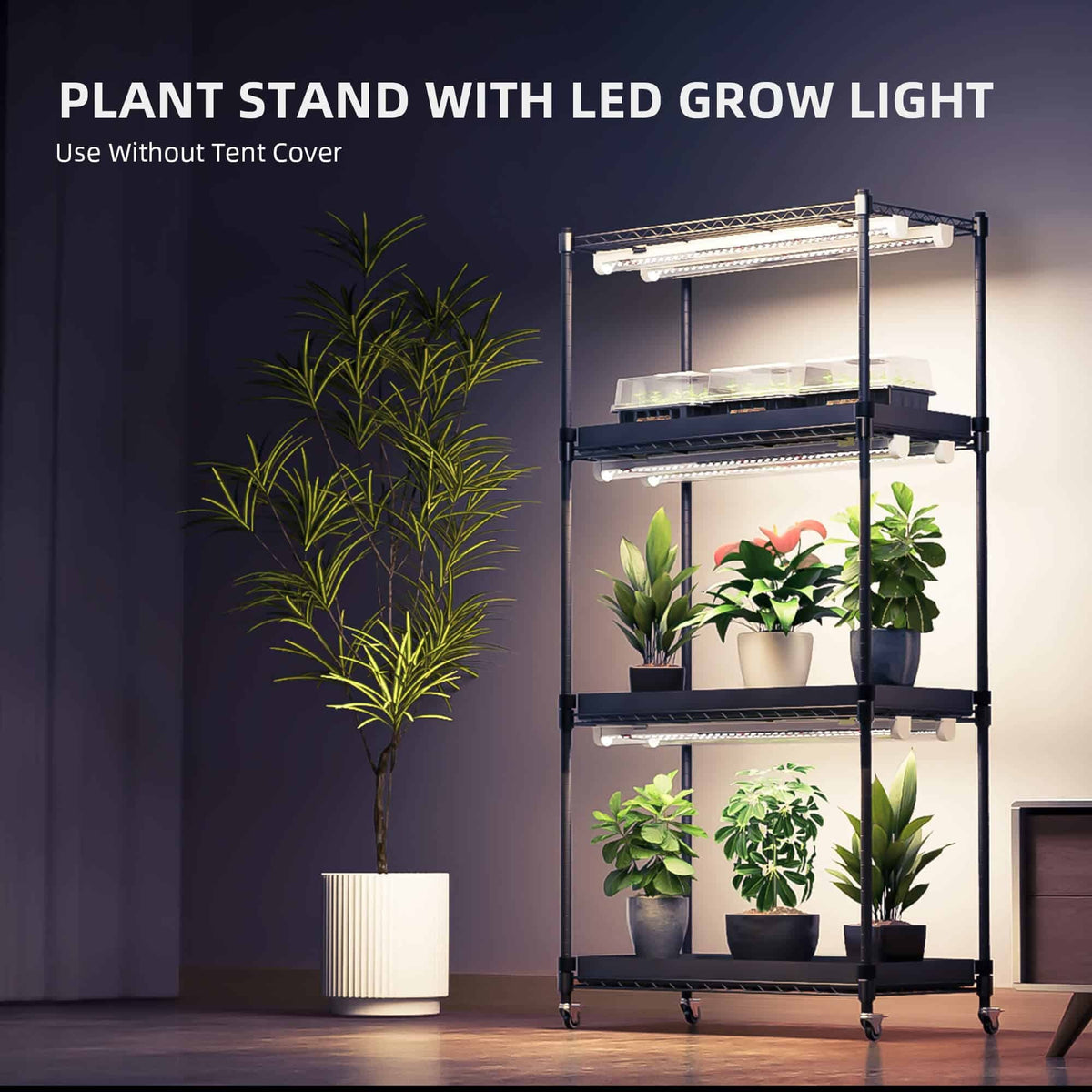 Spider Farmer Plant Stand with Grow Lights used as an open shelf without the tent cover