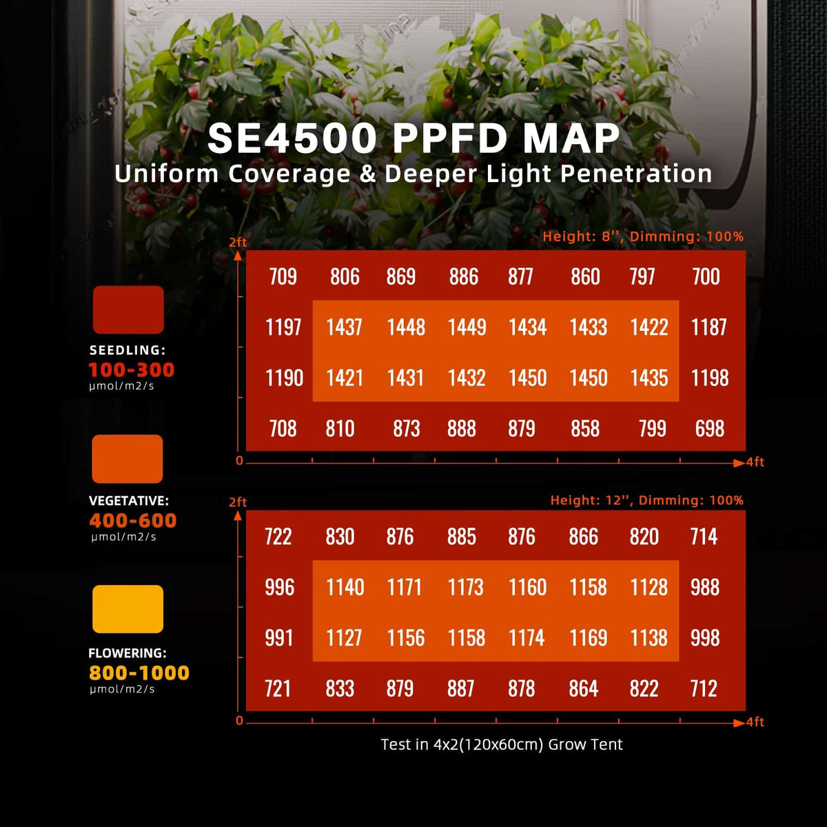 Spider Farmer SE4500 LED Grow Light PPFD map at 20 and 30 cm in a 120 x 60 cm tent