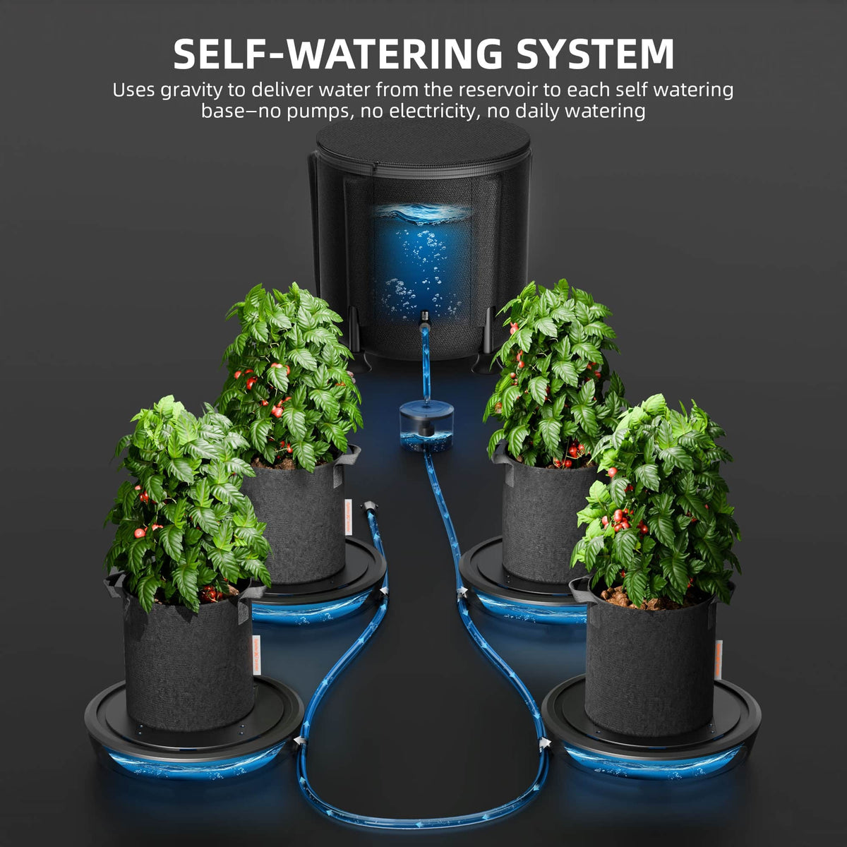 Spider Farmer Self-Watering System feeding four potted tomato plants by gravity