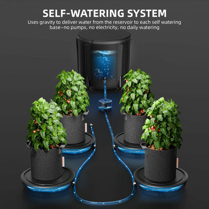 Spider Farmer Self-Watering System feeding four potted tomato plants by gravity