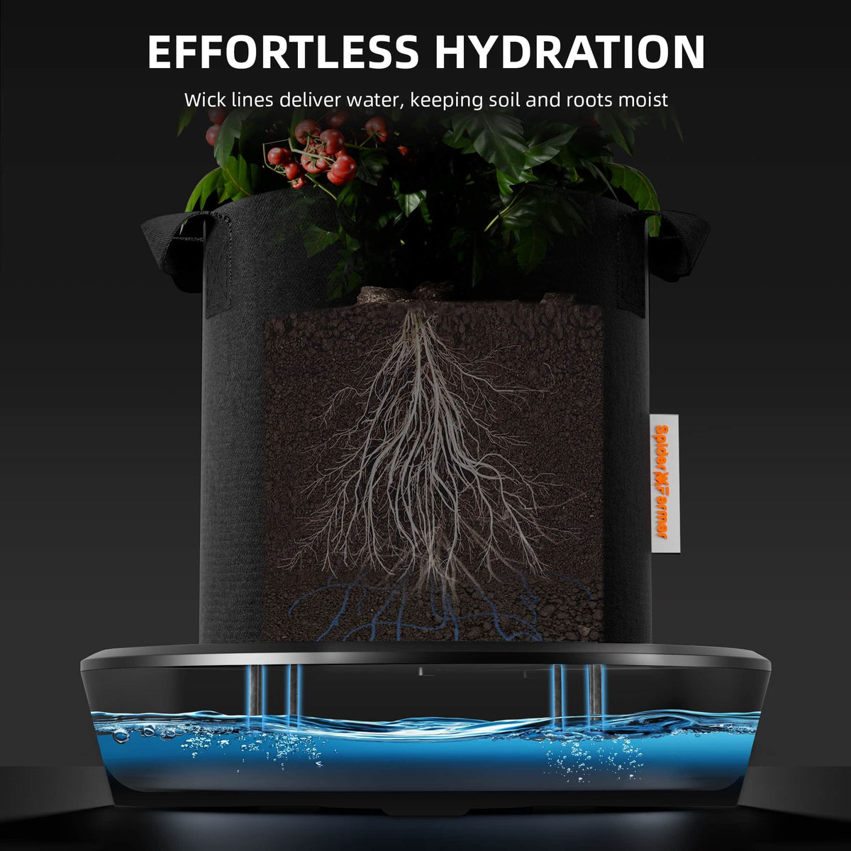 Spider Farmer Self-Watering System cutaway: wick lines carrying water from the base into the root zone