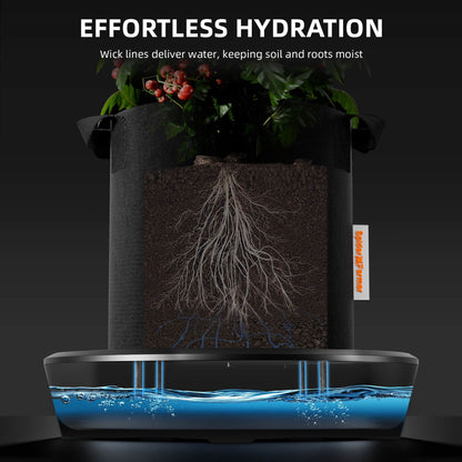 Spider Farmer Self-Watering System cutaway: wick lines carrying water from the base into the root zone