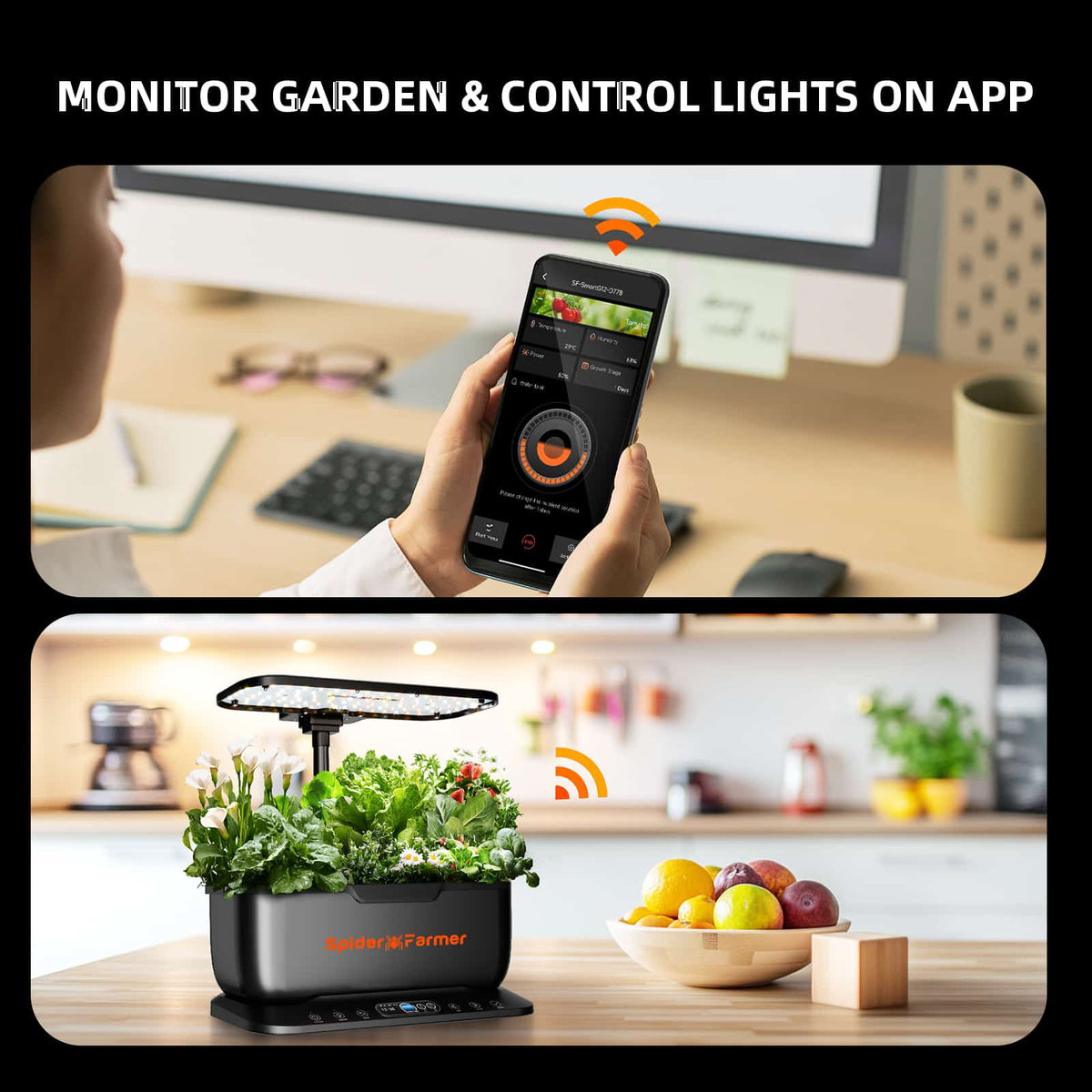 Spider Farmer SmartG12 Hydroponic Kit on a kitchen worktop, controlled from a smartphone app