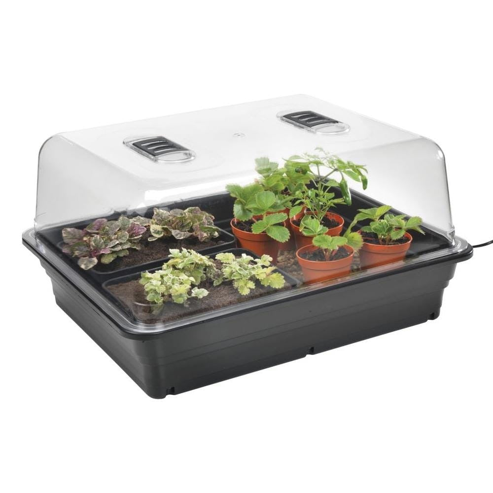 Stewarts Large Variable Heated Propagator with seedlings under the clear vented cover