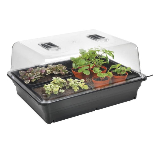 Stewarts Large Variable Heated Propagator with seedlings under the clear vented cover