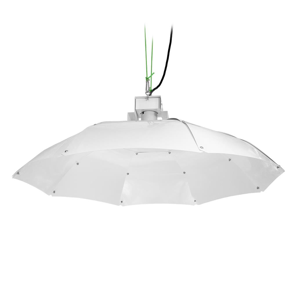 Sun King Parabolic Medium Reflector — White