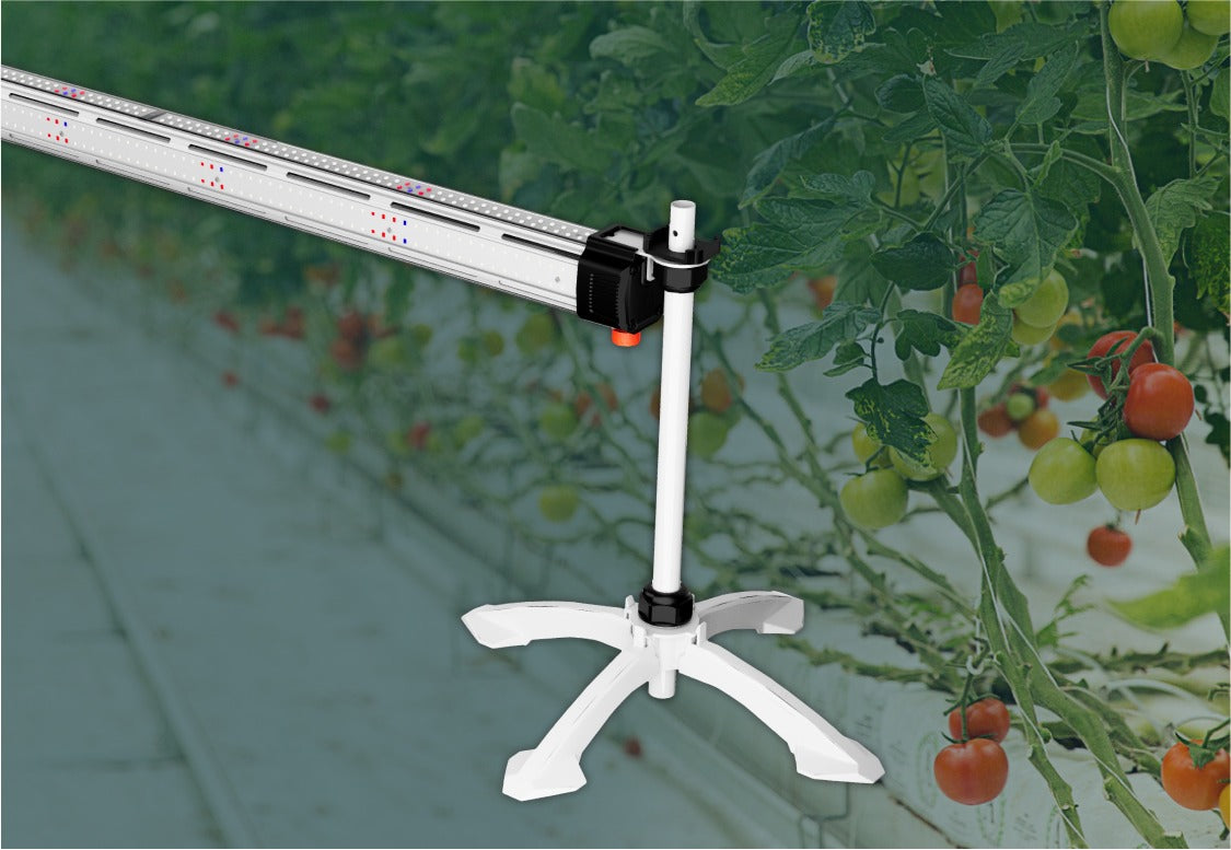 ThinkGrow TSD-1 LED Stand holding an ICL-300 bar among tomato plants