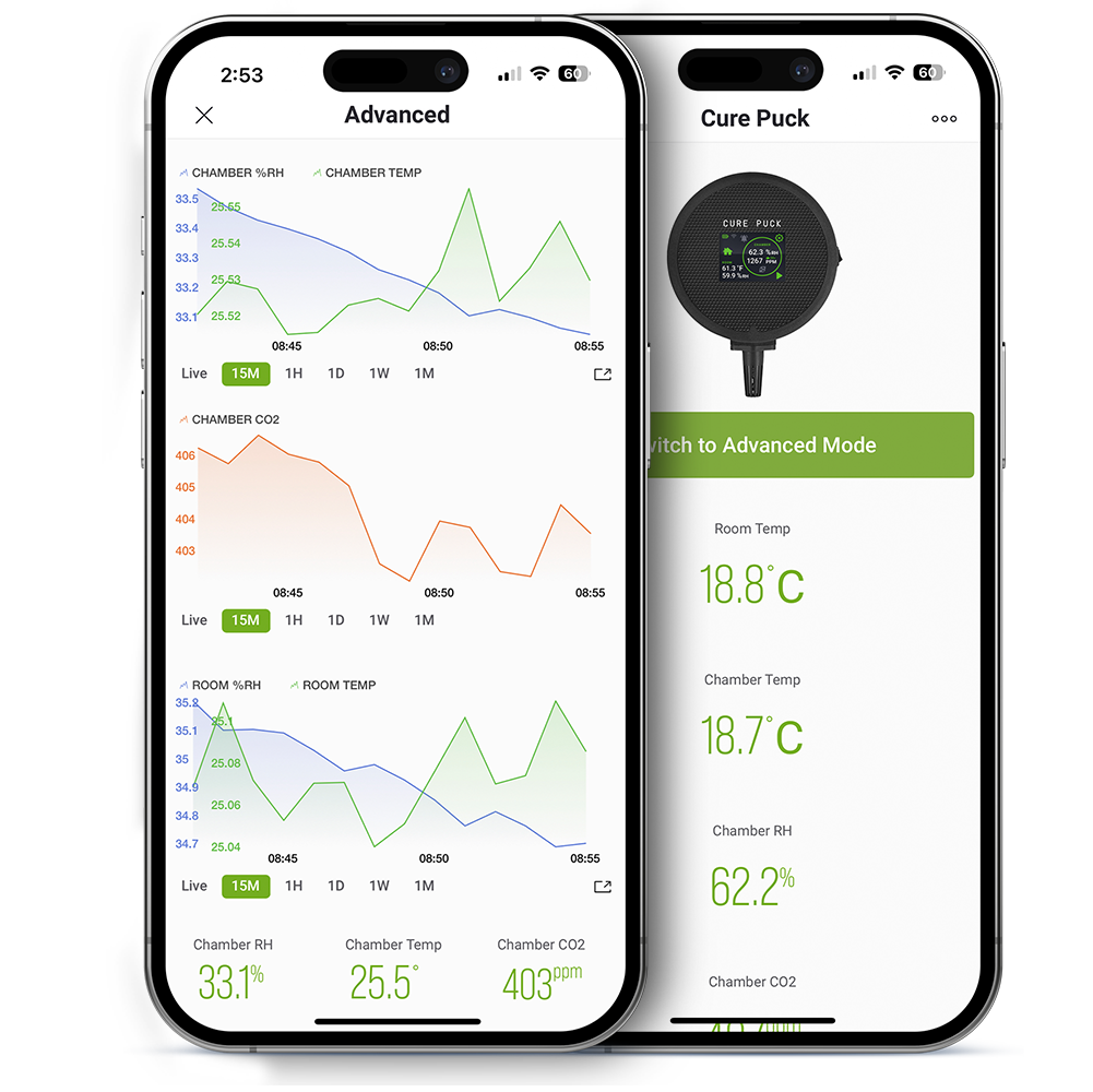 Twister Cure Puck Gen 2 — mobile app showing chamber and room readings