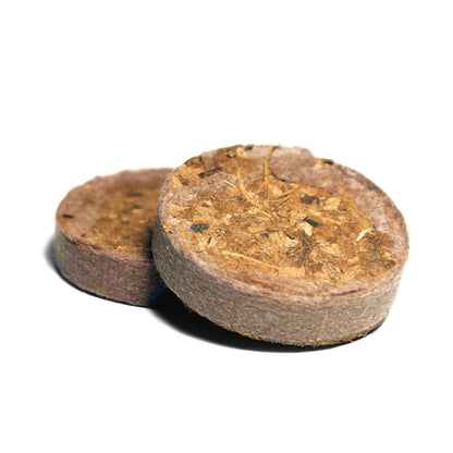 UGro Rhiza Coco Plugs — 38mm (Pack of 100)