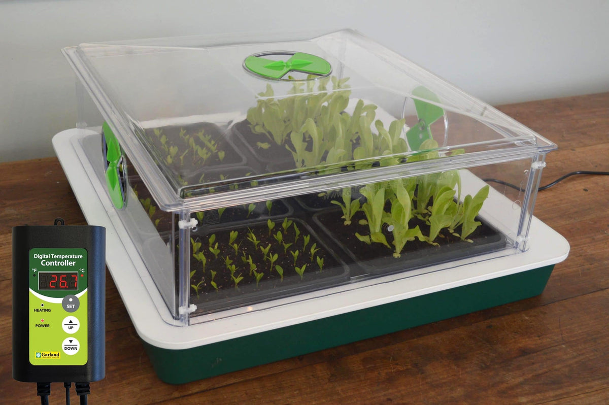 Vitopod Propagator Small heated with its digital thermostat controller and seed trays