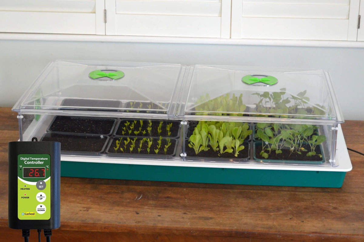 Vitopod Propagator Large heated with thermostat and half seed trays