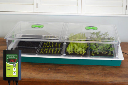 Vitopod Propagator Large heated with thermostat and half seed trays