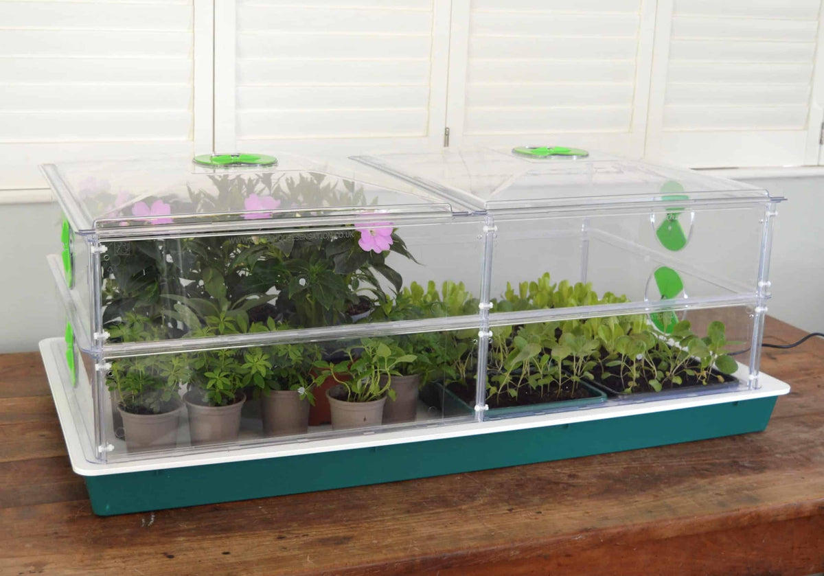 Vitopod Propagator Large heated with one extra layer, full of young plants