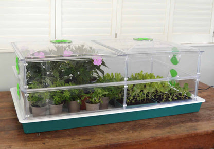 Vitopod Propagator Large heated with one extra layer, full of young plants