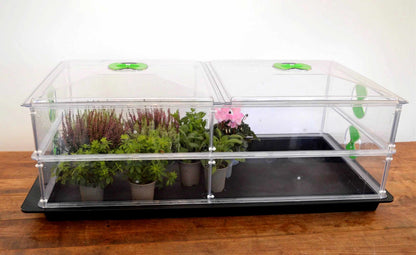 Vitopod Propagator Large unheated with one extra layer for hardening off