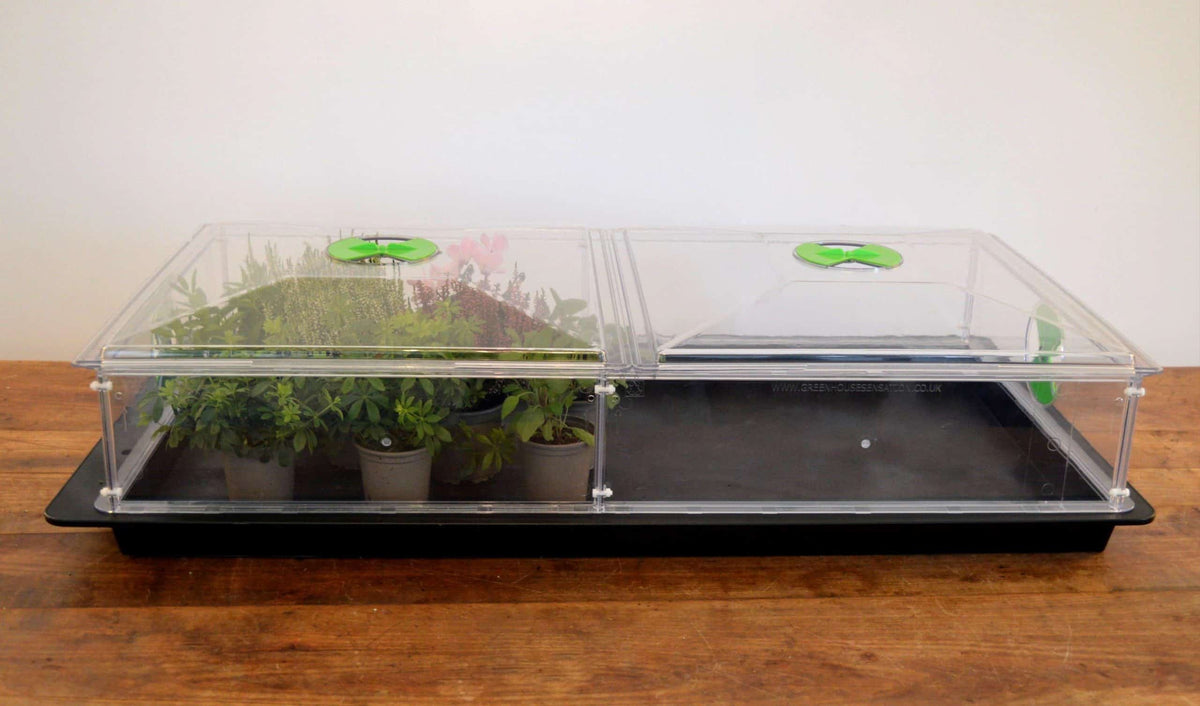 Vitopod Propagator — Large / Unheated