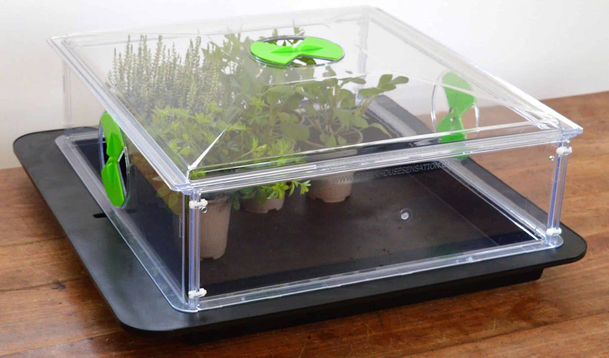 Vitopod Propagator — Small / Unheated