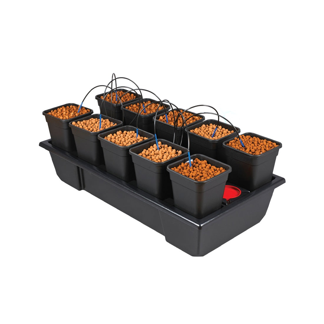 Nutriculture Wilma Small Wide Origin — 10 x 6L Pots