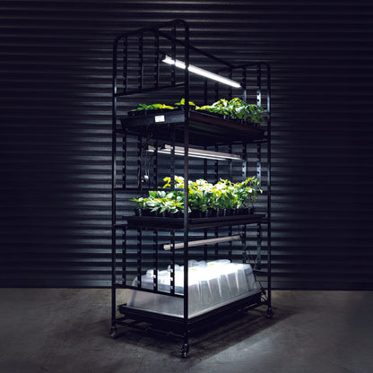 X-Stream Propagation Racking — three lit shelves holding X-Stream propagators and young pepper plants