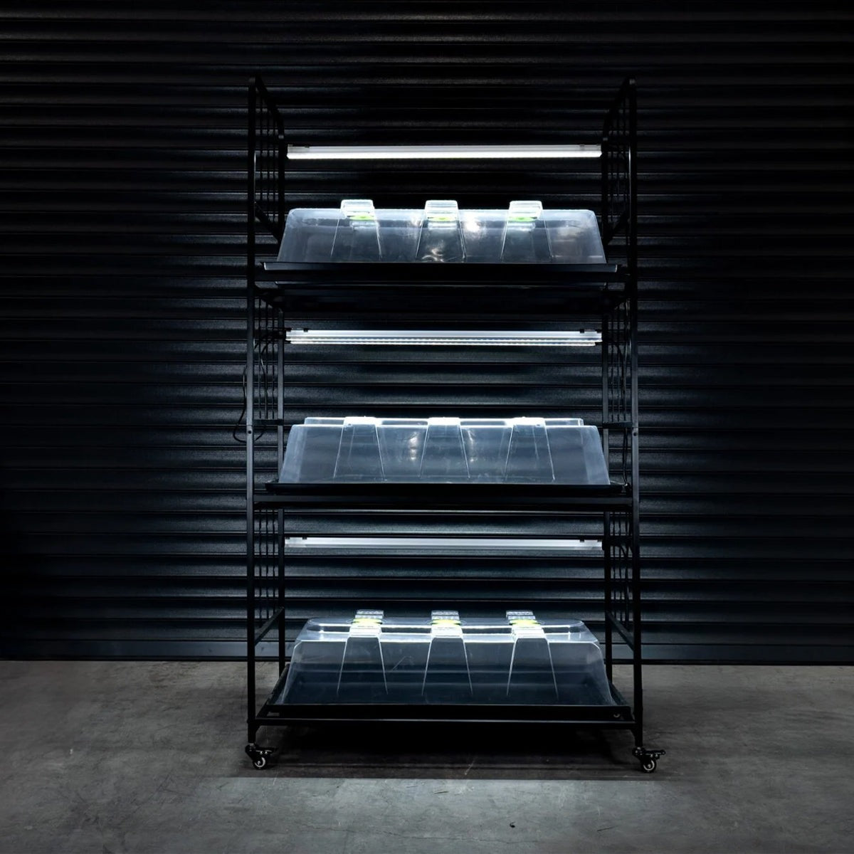 X-Stream Propagation Racking — LED bars lit above three lidded propagators