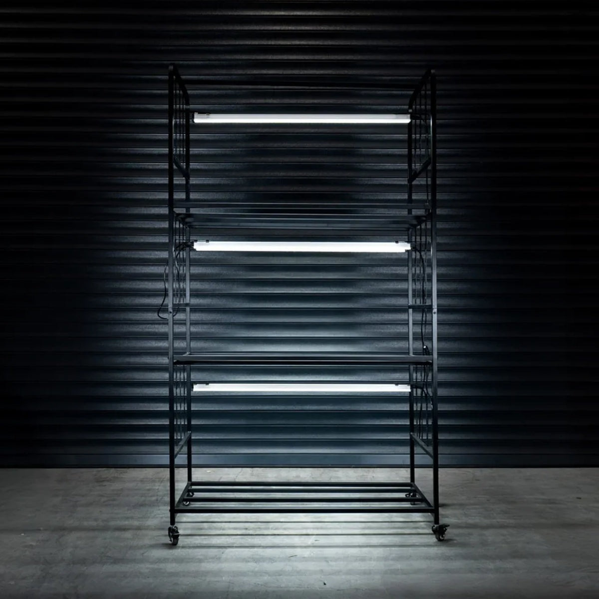 X-Stream Propagation Racking — empty rack with LED bars lit on every tier